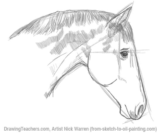 Como desenhar e sombrear um Cavalo ( PASSO A PASSO ) - narrado