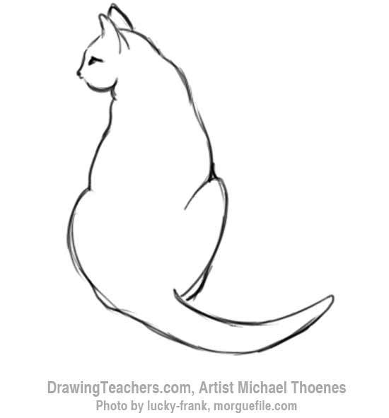 How to Draw a Cat Sitting