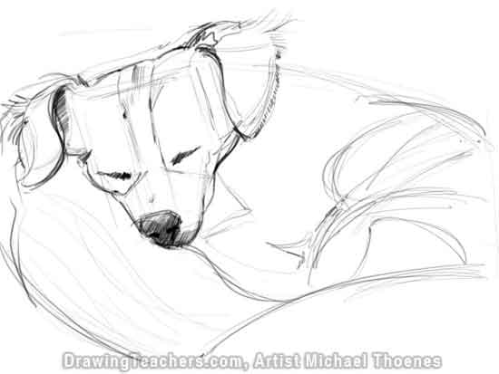 How to Draw a Dog Lying Down