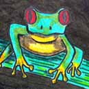 Tree Frog Drawing