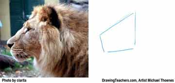 Lion Drawing Step 1 - How to Draw a Lion