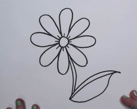 How to Draw a Daisy Flower (Daisies) in Easy Step by Step Drawing  Instructions Tutorial for Beginners